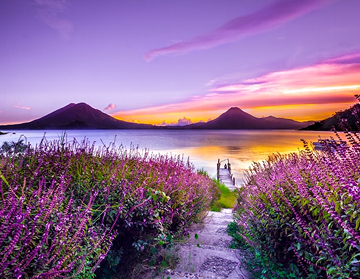 Exclusive Partnerships